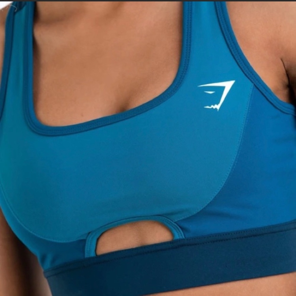 COPY - Gymshark Prism Color Block Sports Bra in D…